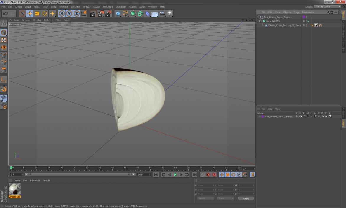 3D Red Onion Cross Section model