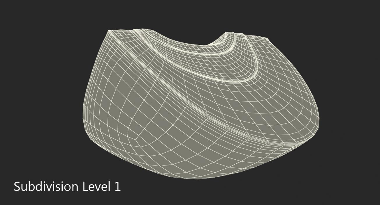 3D Red Onion Cross Section model