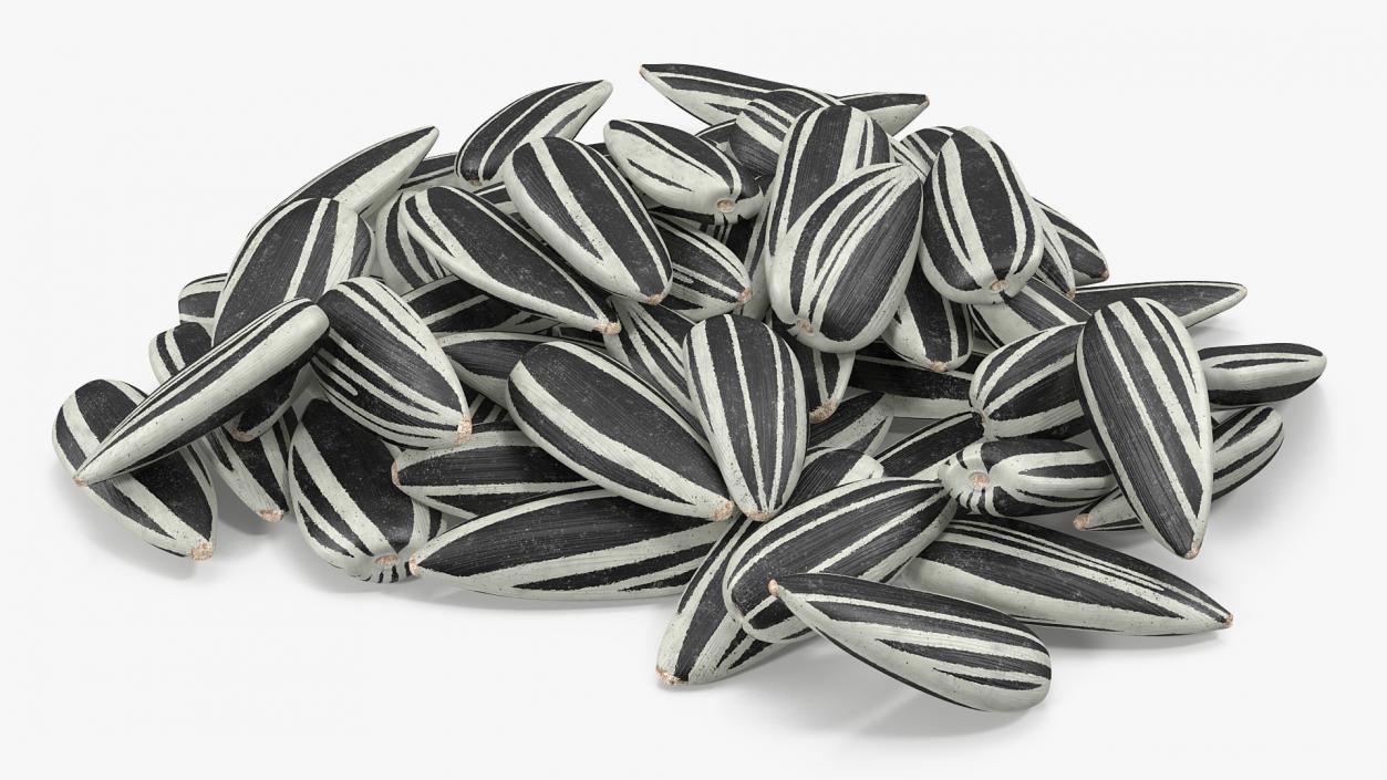 3D Striped Sunflower Seeds Pile model