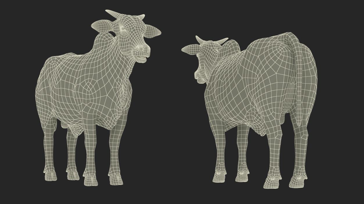 3D model Ongole Cattle Male Rigged