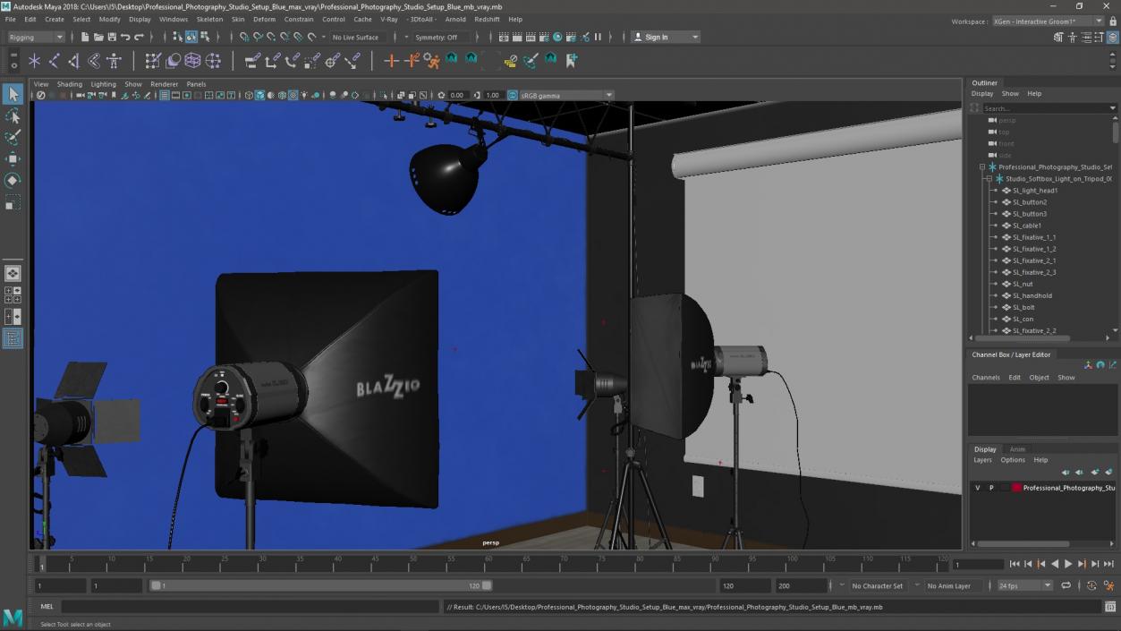 Professional Photography Studio Setup Blue 3D