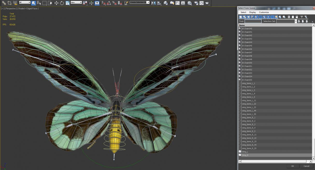 Queen Alexandras Birdwing Butterfly Rigged 3D