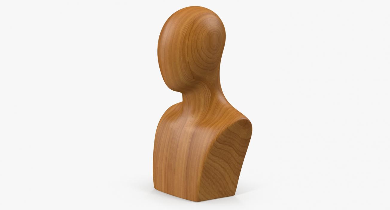 3D Male Wooden Head Mannequin