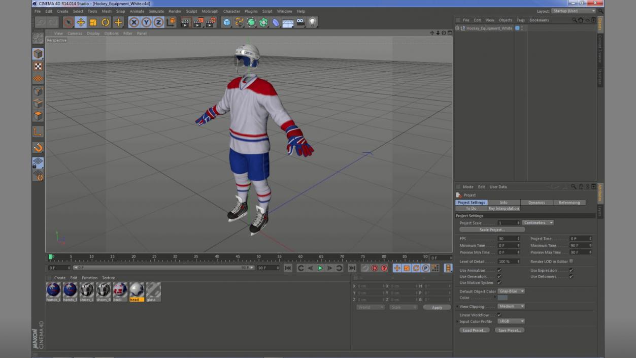 Hockey Equipment White 3D