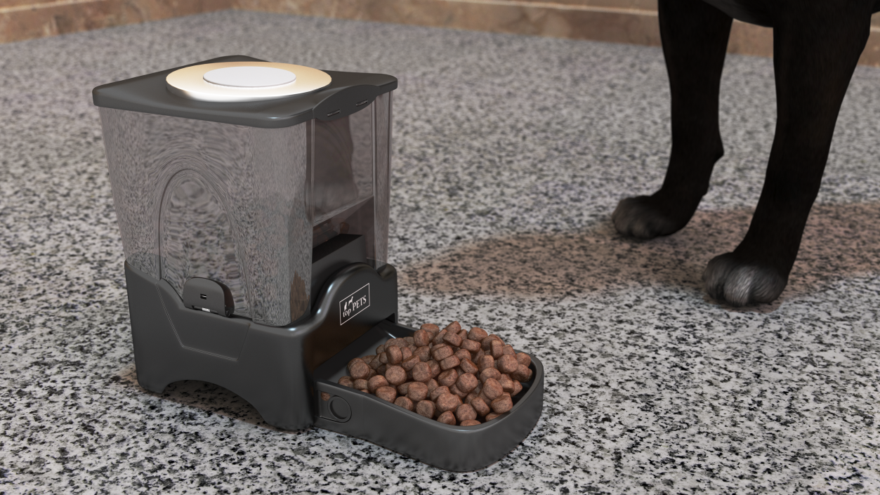 Automatic Pet Feeder Dry Food Dispenser 3D model