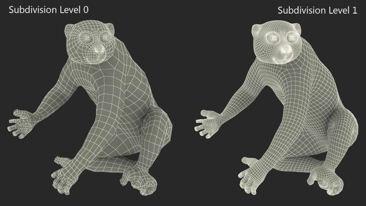 3D Nycticebus Pygmaeus Fur model