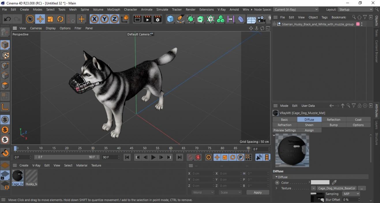 Siberian Husky Black and White with Muzzle 2 3D model