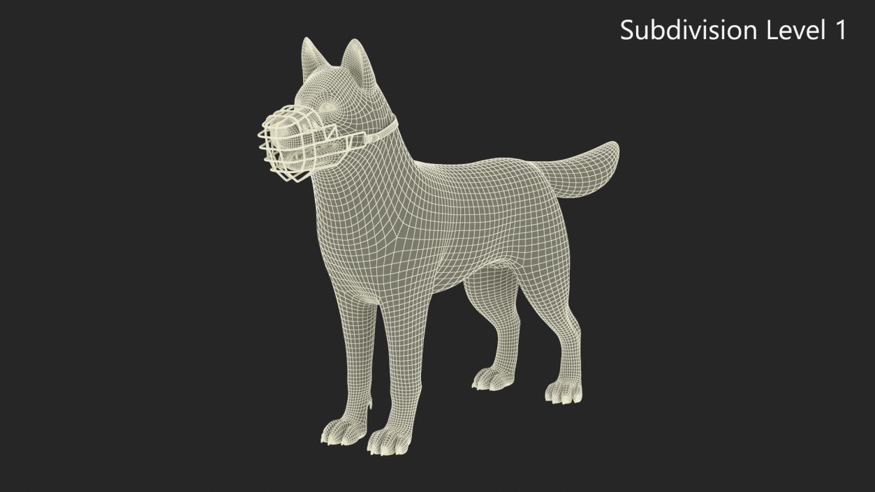 Siberian Husky Black and White with Muzzle 2 3D model