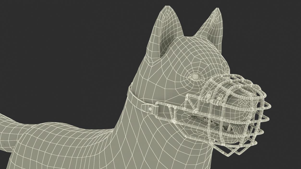 Siberian Husky Black and White with Muzzle 2 3D model