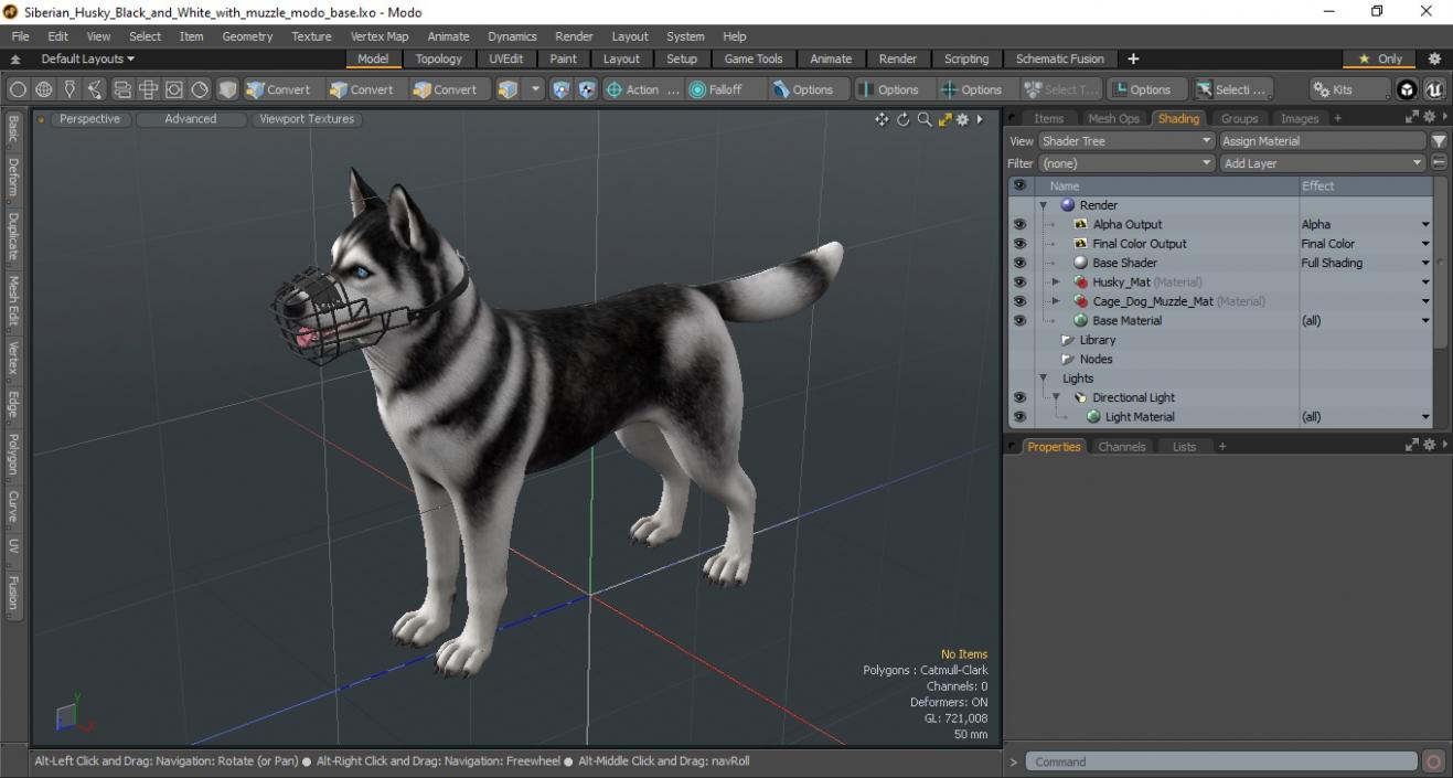 Siberian Husky Black and White with Muzzle 2 3D model