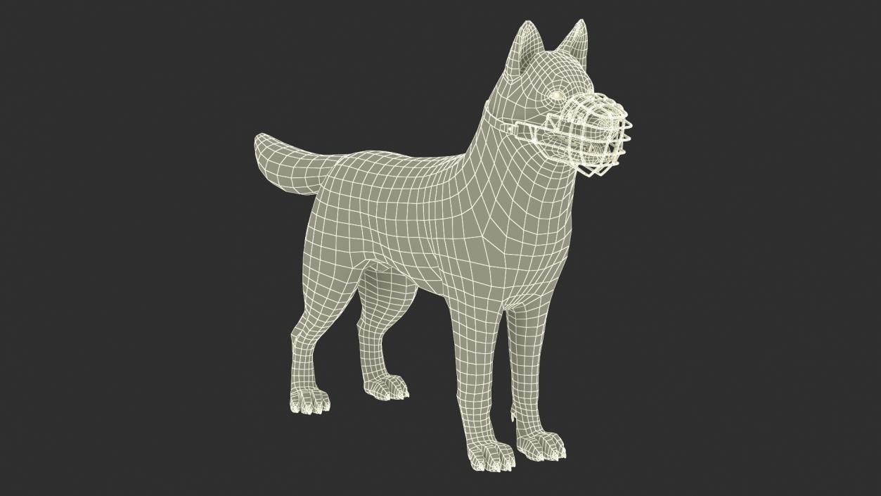 Siberian Husky Black and White with Muzzle 2 3D model