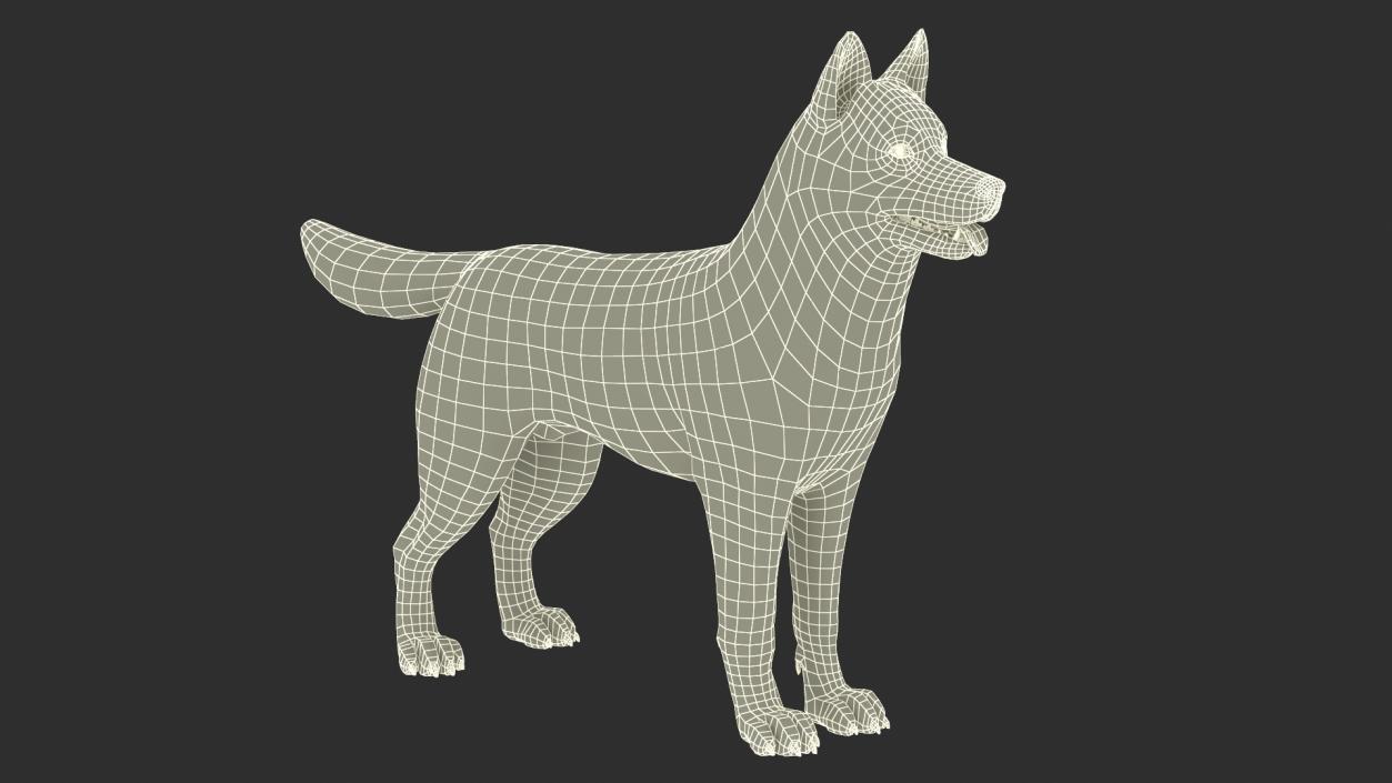 Siberian Husky Black and White with Muzzle 2 3D model