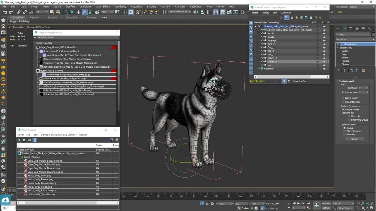 Siberian Husky Black and White with Muzzle 2 3D model