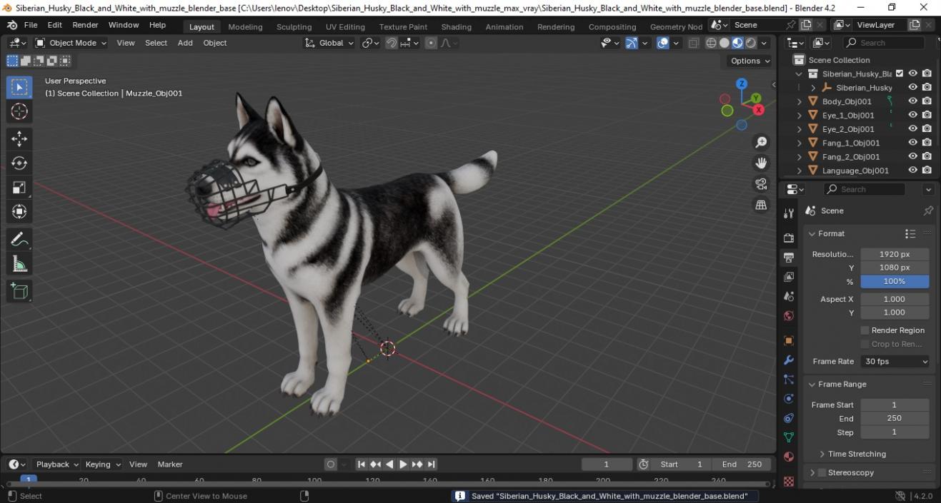 Siberian Husky Black and White with Muzzle 2 3D model