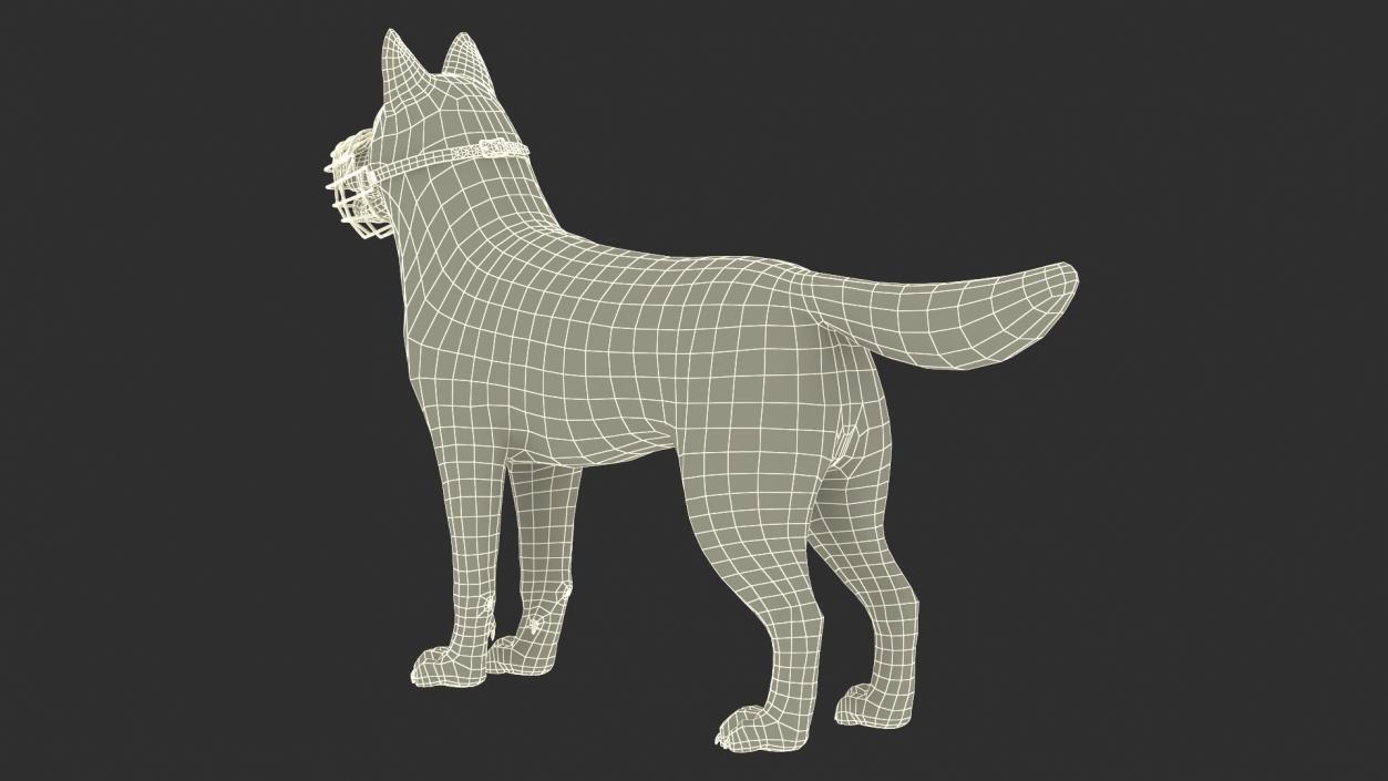 Siberian Husky Black and White with Muzzle 2 3D model