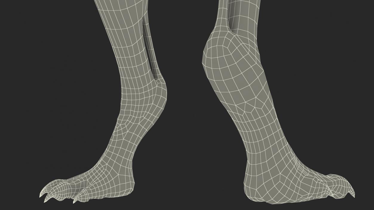 3D Scary Creature Leg model