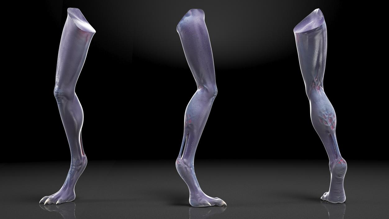 3D Scary Creature Leg model