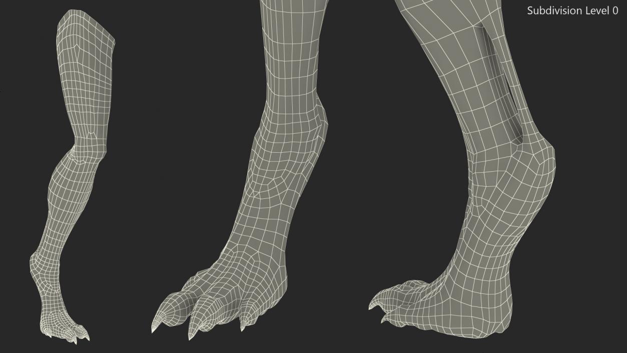 3D Scary Creature Leg model