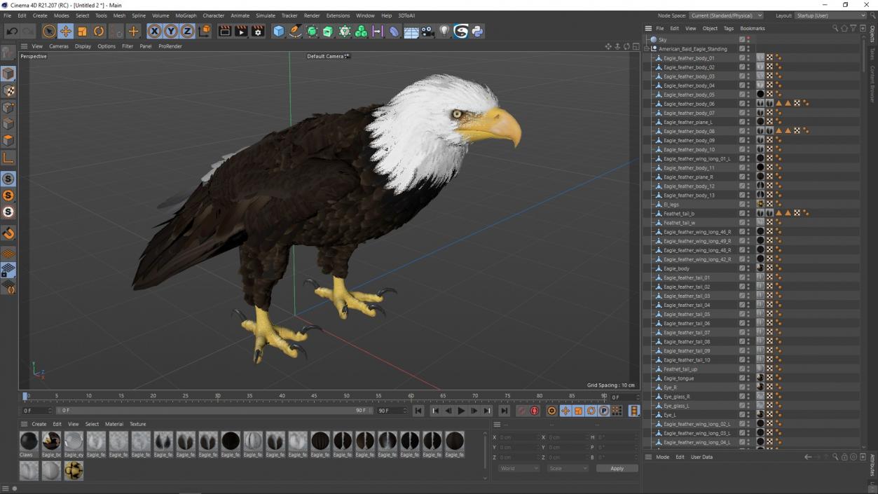 3D American Bald Eagle Standing model