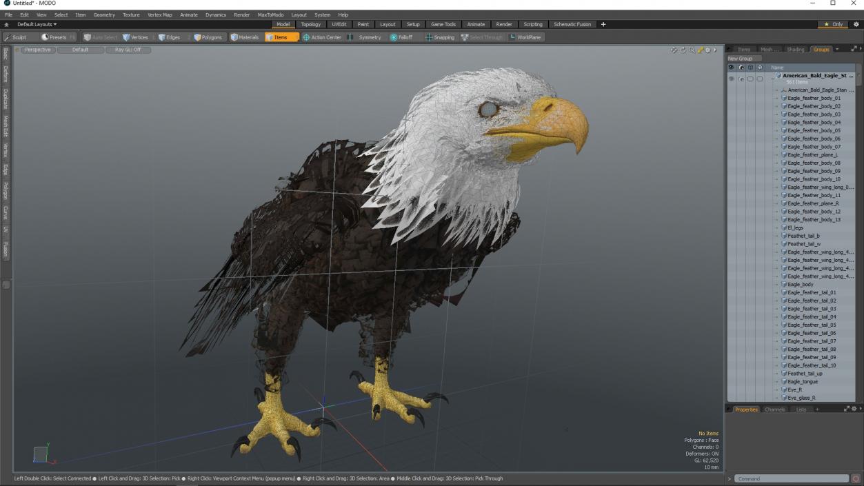 3D American Bald Eagle Standing model