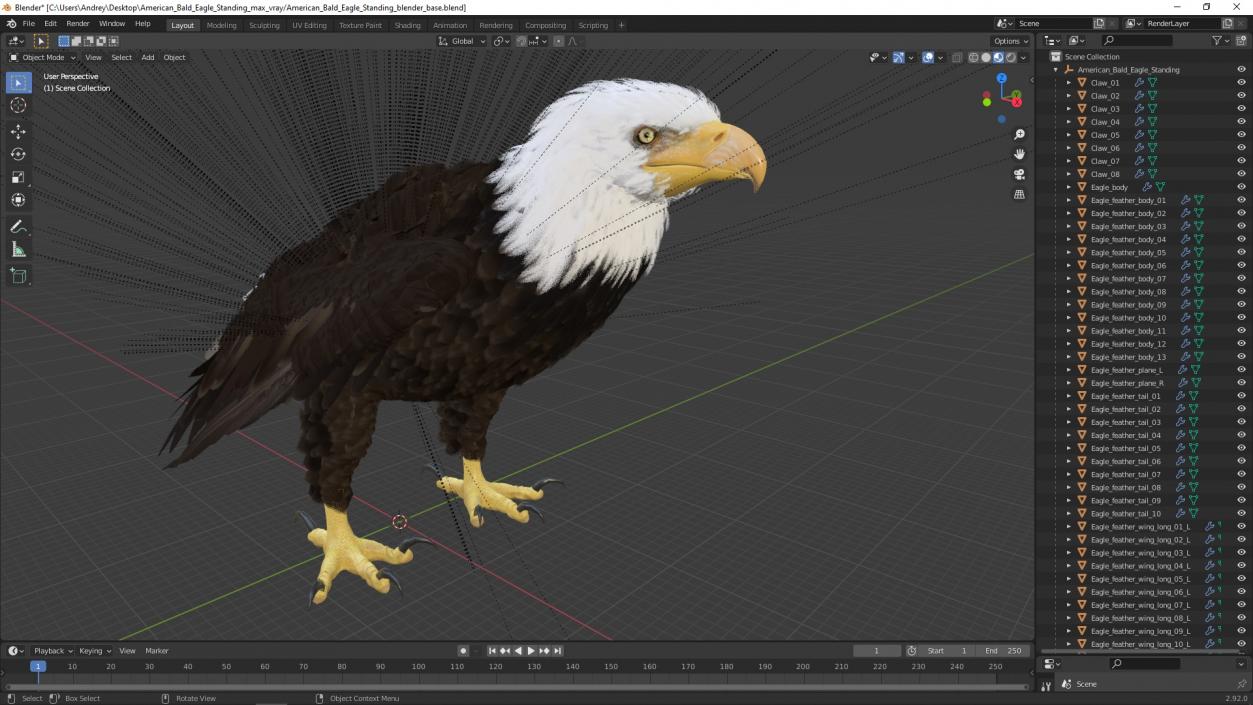 3D American Bald Eagle Standing model