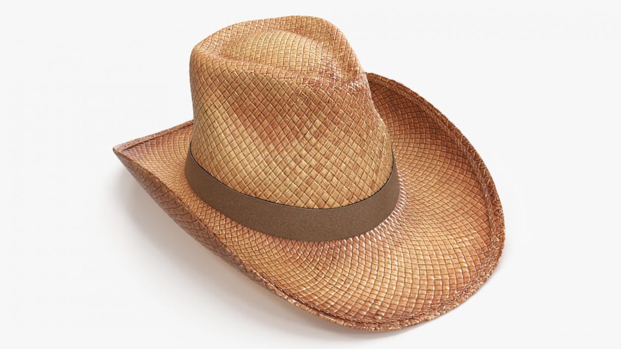 3D Straw Cowboy Hat 2 model