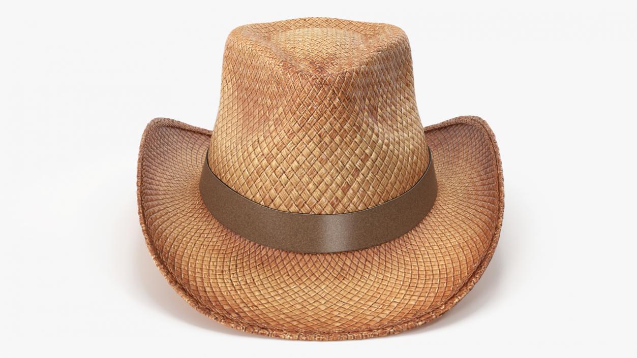 3D Straw Cowboy Hat 2 model