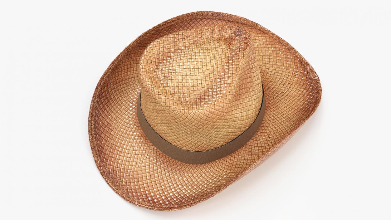 3D Straw Cowboy Hat 2 model