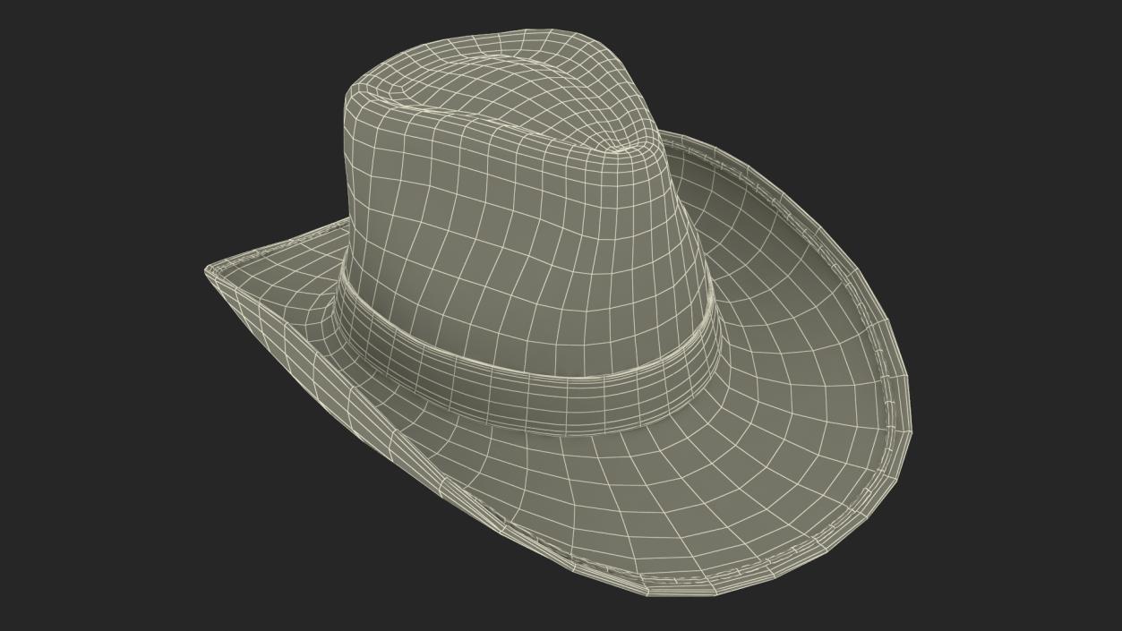 3D Straw Cowboy Hat 2 model