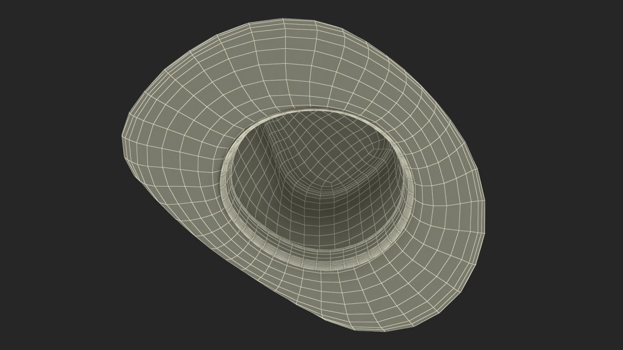 3D Straw Cowboy Hat 2 model