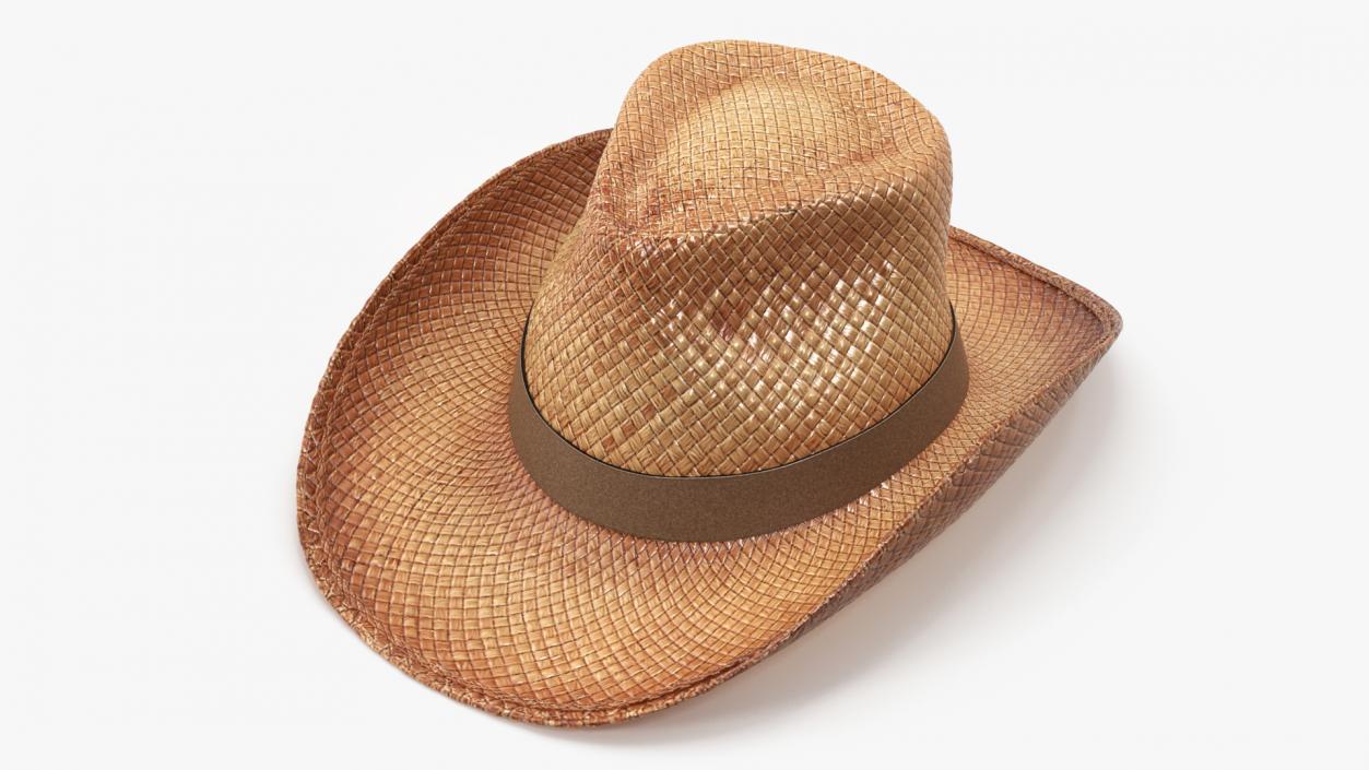 3D Straw Cowboy Hat 2 model