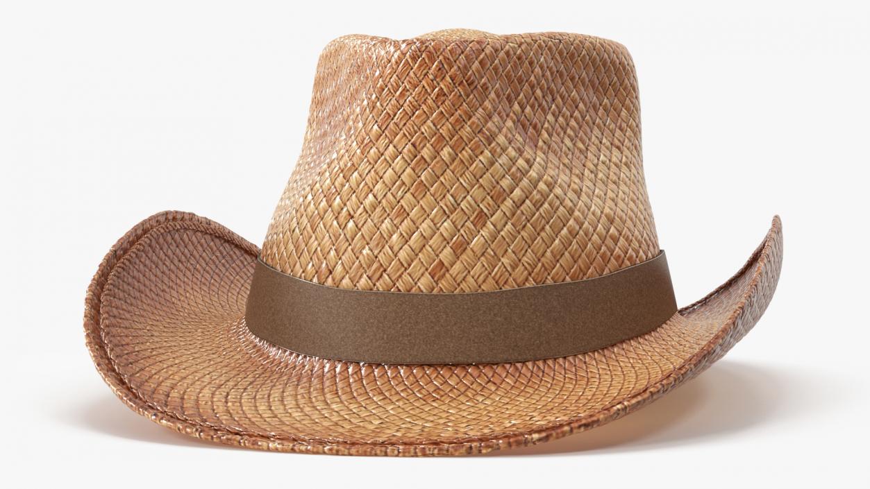 3D Straw Cowboy Hat 2 model