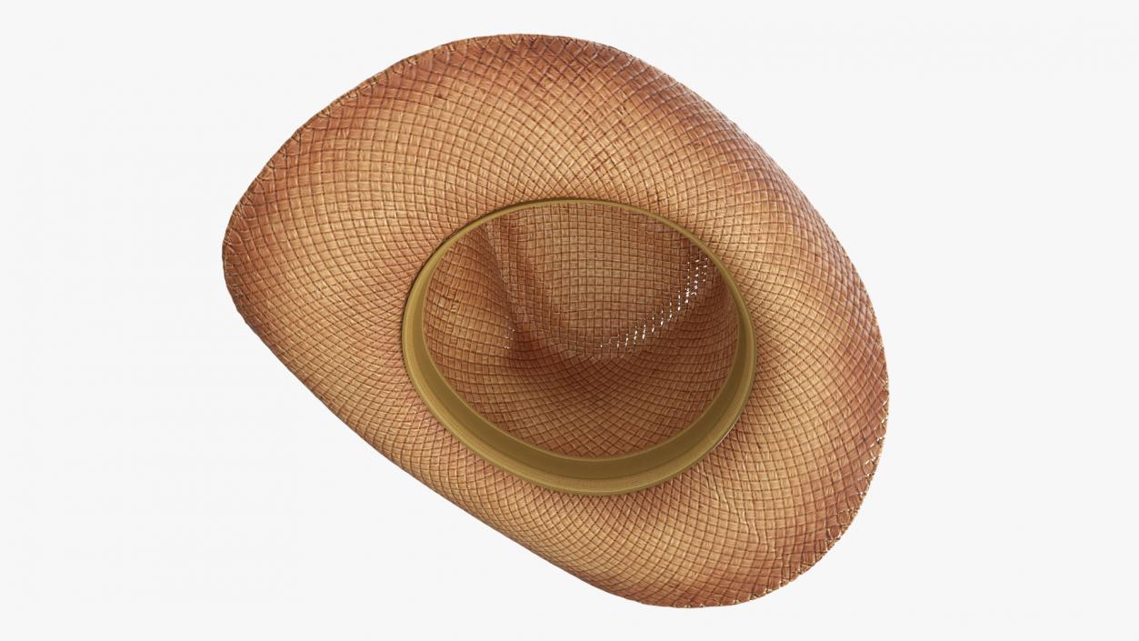 3D Straw Cowboy Hat 2 model