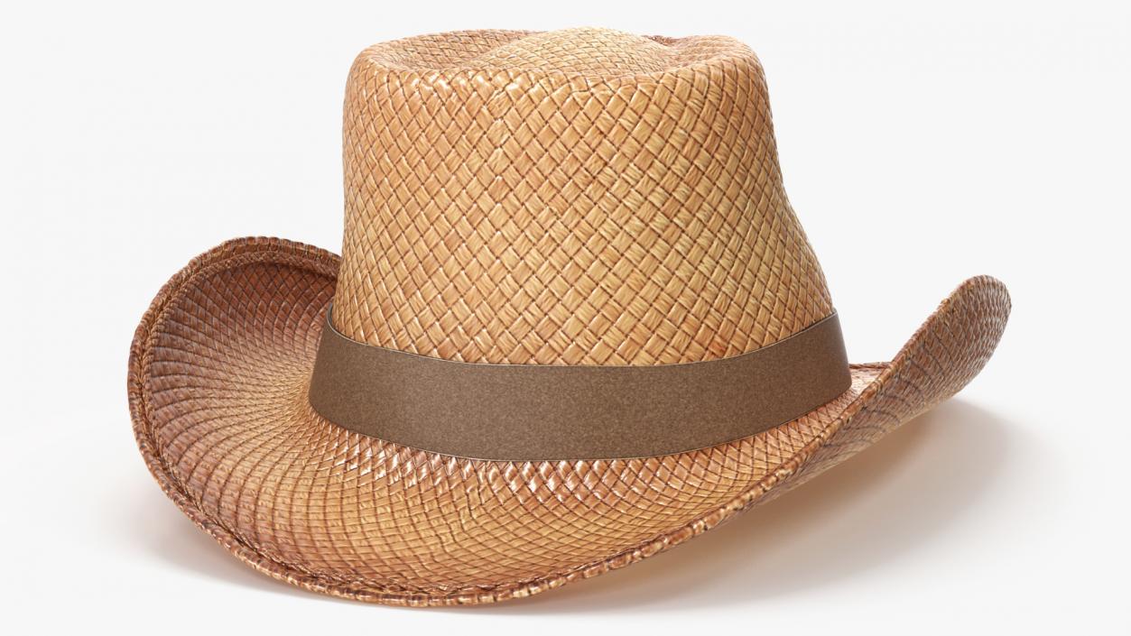 3D Straw Cowboy Hat 2 model