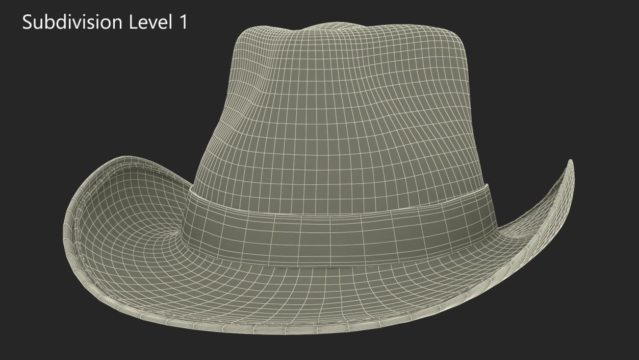 3D Straw Cowboy Hat 2 model