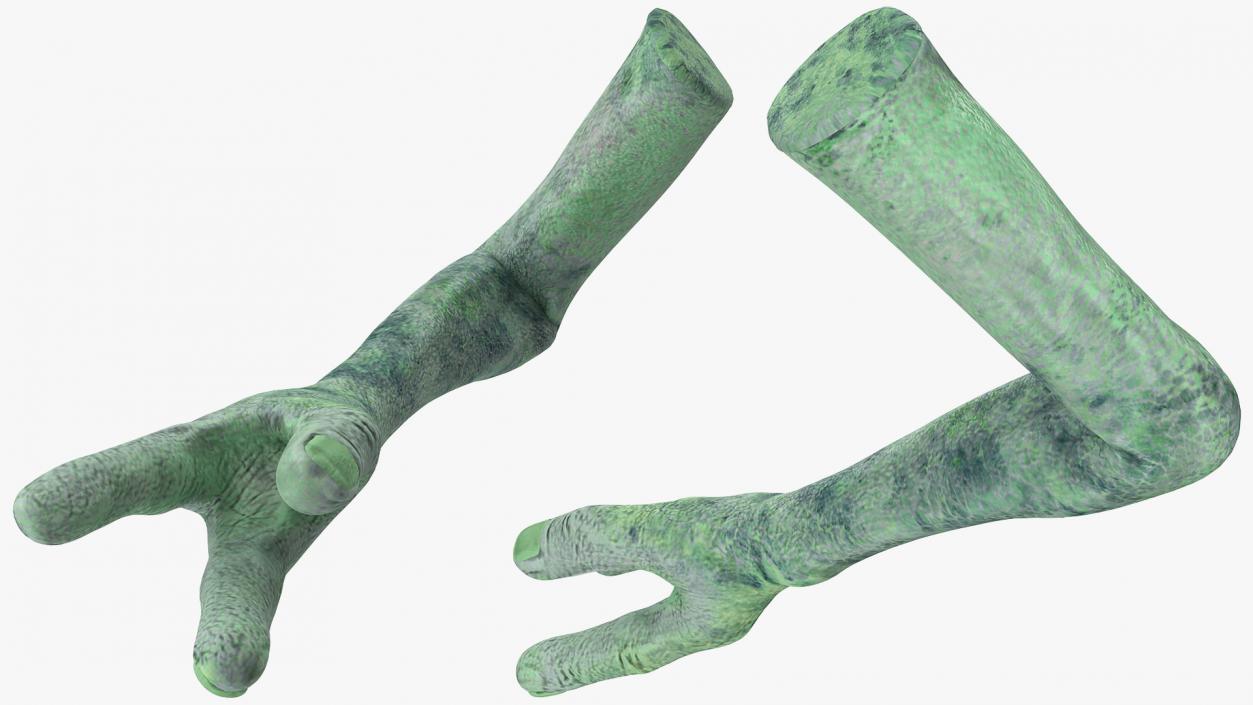 3D model Green Alien Arm