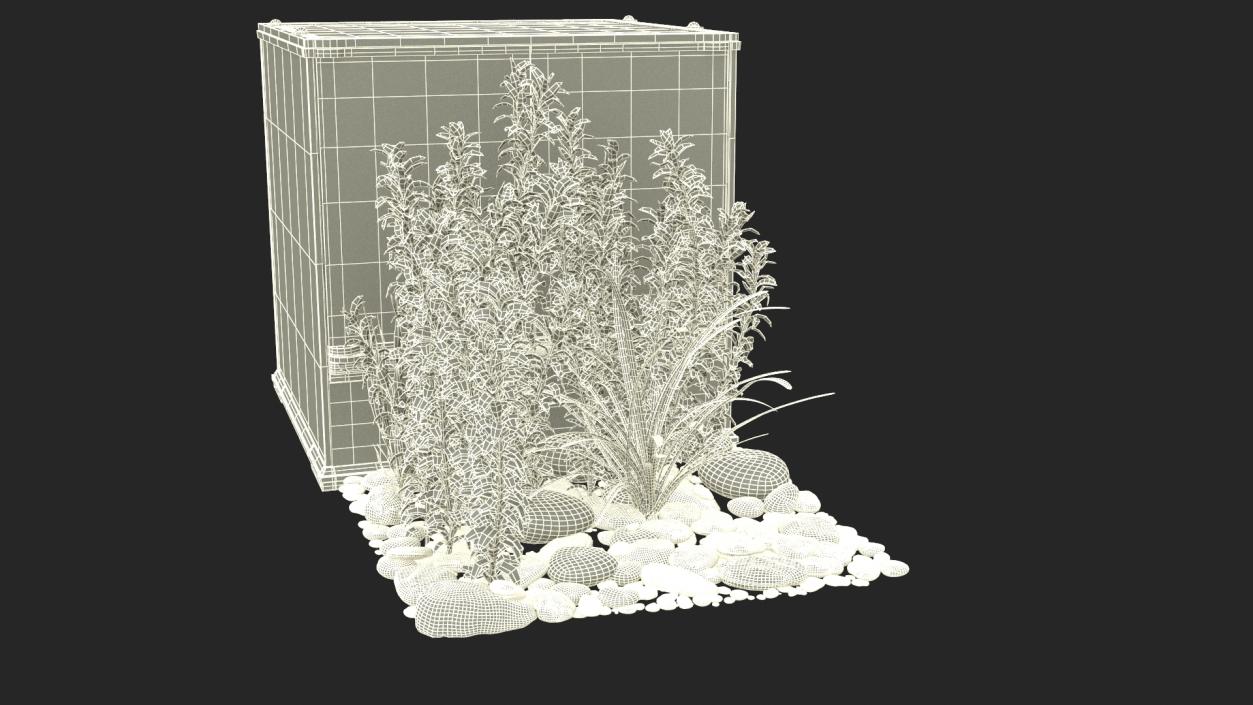 3D Small Cubic Terrarium with Plants model