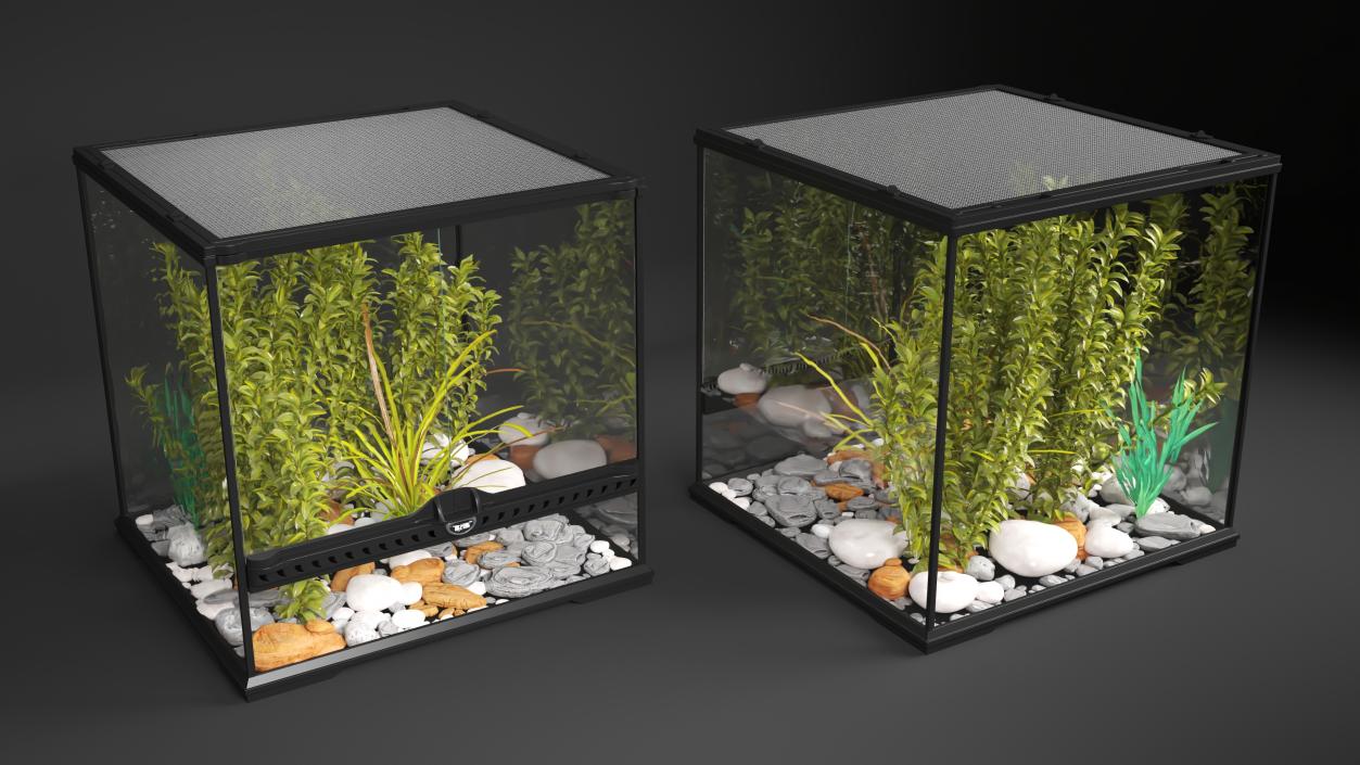 3D Small Cubic Terrarium with Plants model