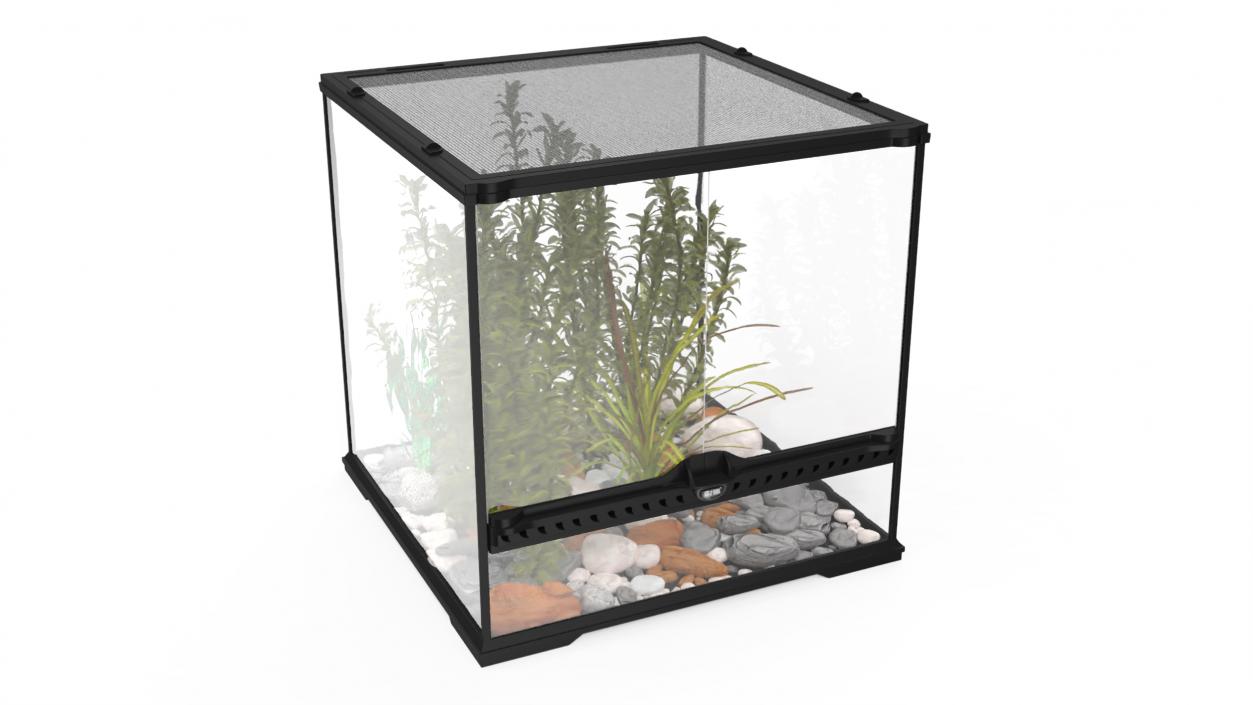 3D Small Cubic Terrarium with Plants model