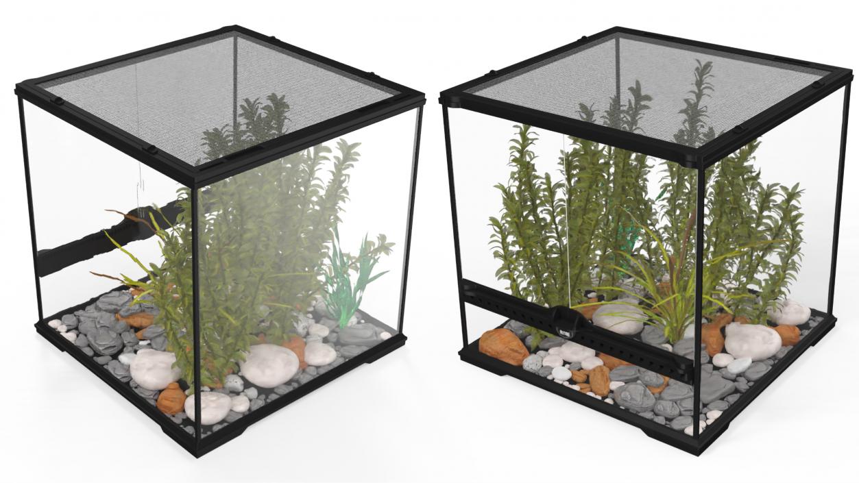 3D Small Cubic Terrarium with Plants model