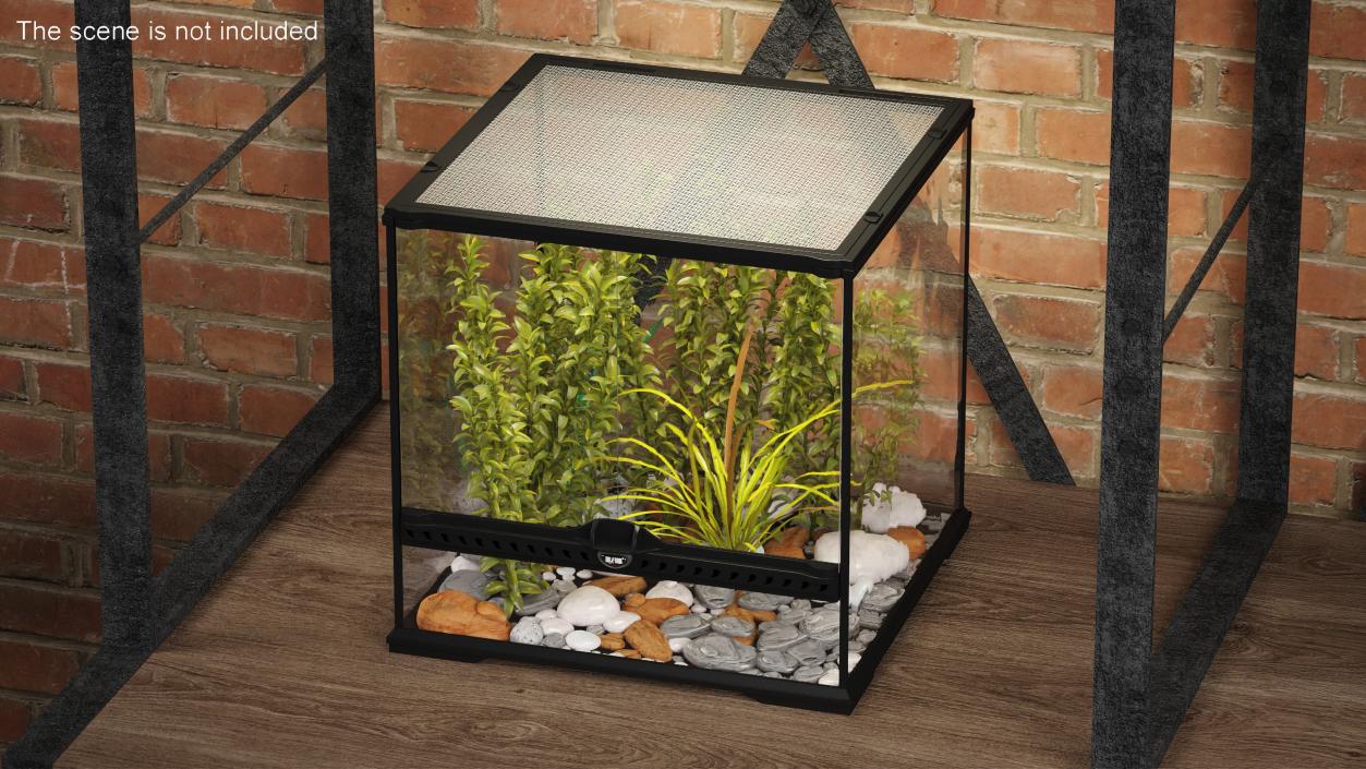 3D Small Cubic Terrarium with Plants model