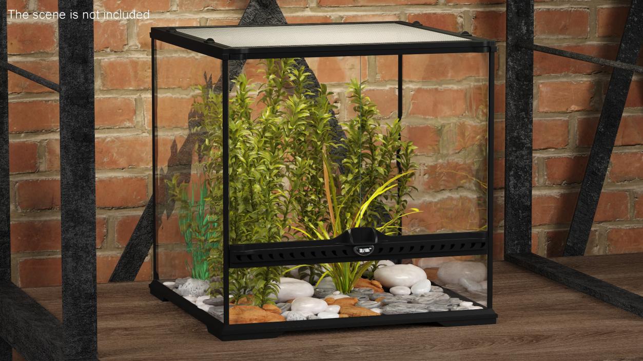 3D Small Cubic Terrarium with Plants model