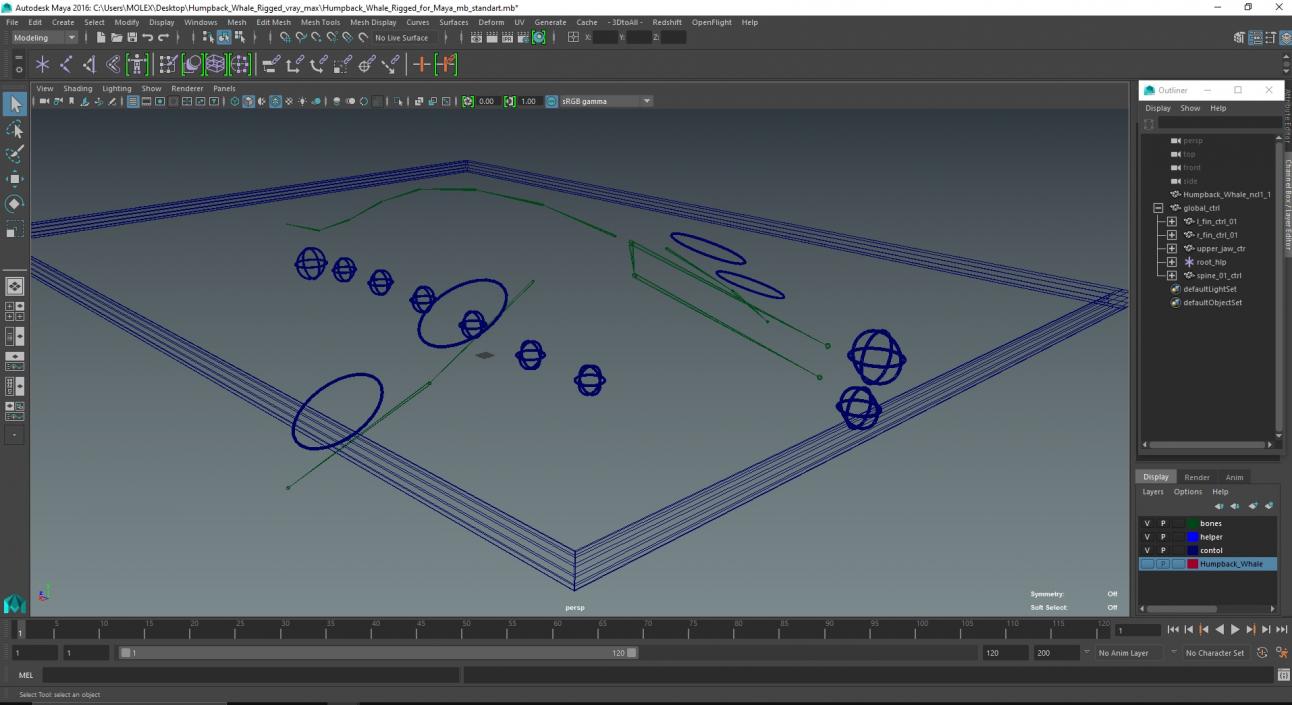 3D model Humpback Whale Rigged for Maya