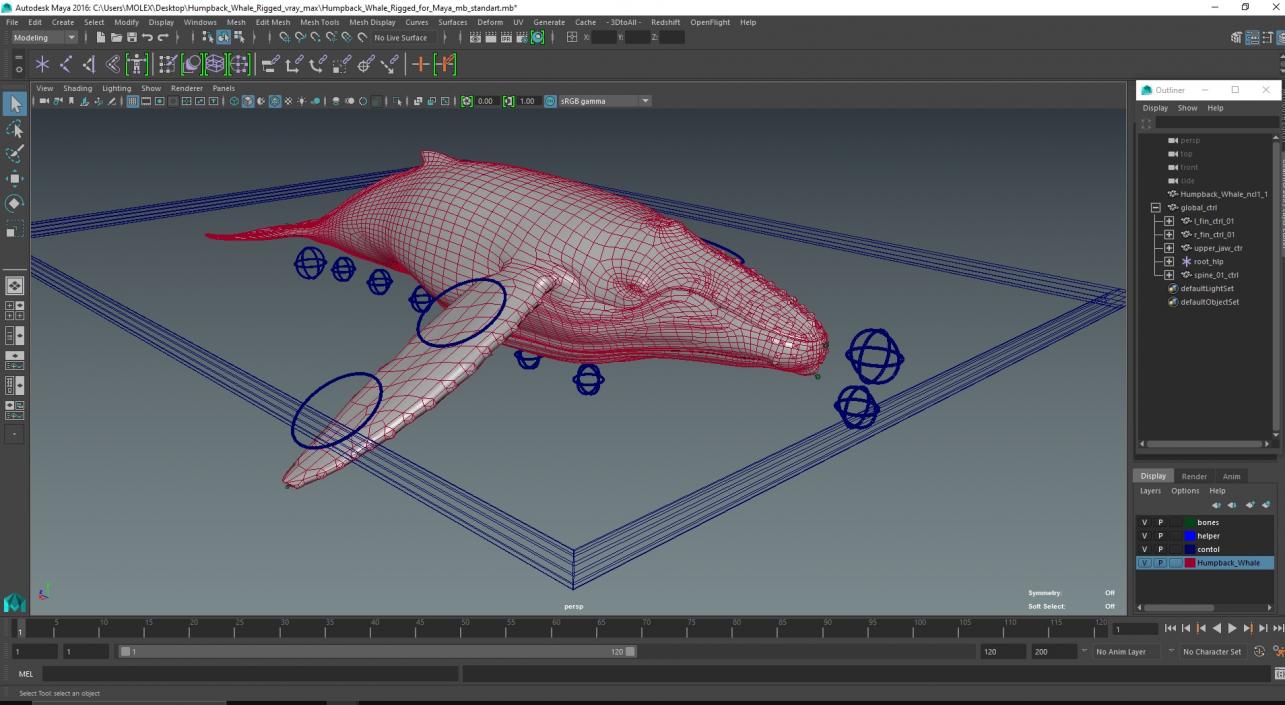 3D model Humpback Whale Rigged for Maya