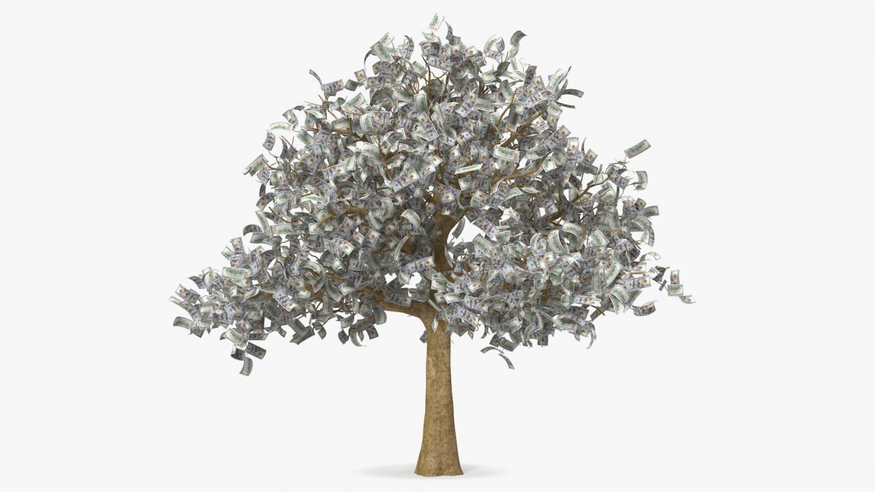 3D Money Tree with Dollar Bills model