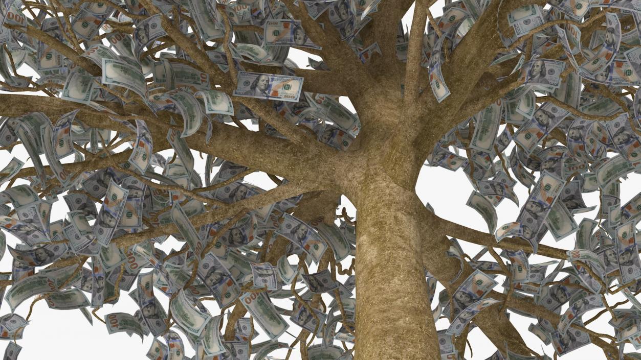 3D Money Tree with Dollar Bills model