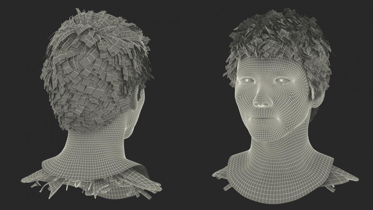 Head Anatomy Asian Man 3D