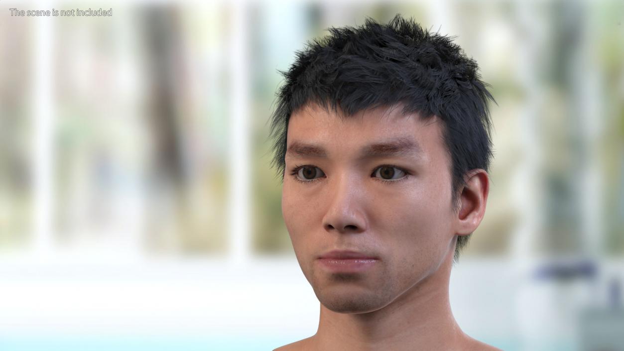 Head Anatomy Asian Man 3D