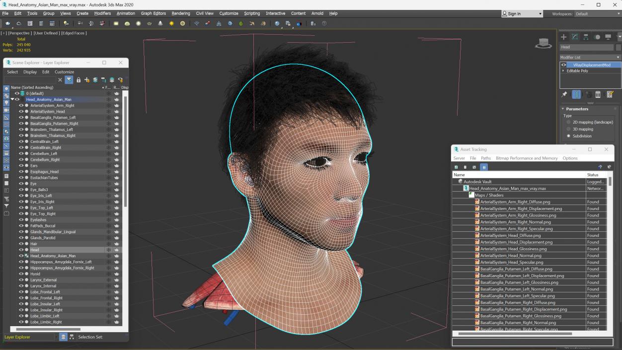 Head Anatomy Asian Man 3D