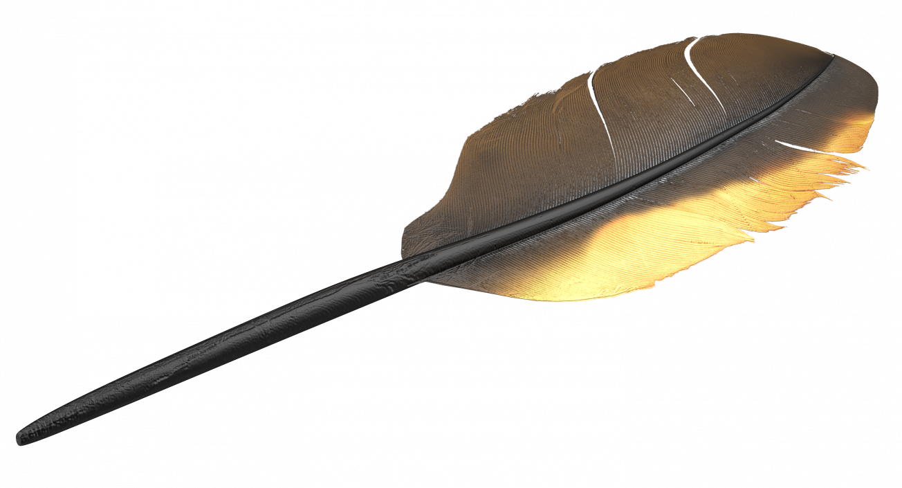 3D Dark Gold Goose Feather model